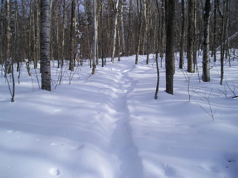 Stinson (3).JPG - We had a nice track to follow, except there was about 5 or 6 inches of new snow on top.